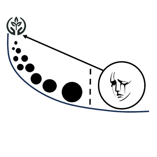 Curva de recaída 